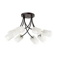 Потолочная люстра Lumion Paula Comfi 4533/8C 