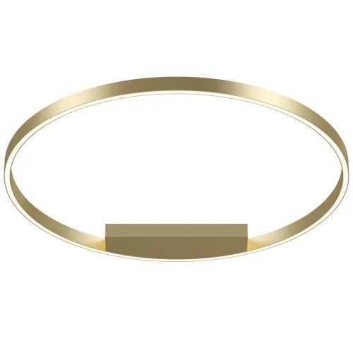 Потолочный светодиодный светильник Maytoni Rim MOD058CL-L50BS4K 