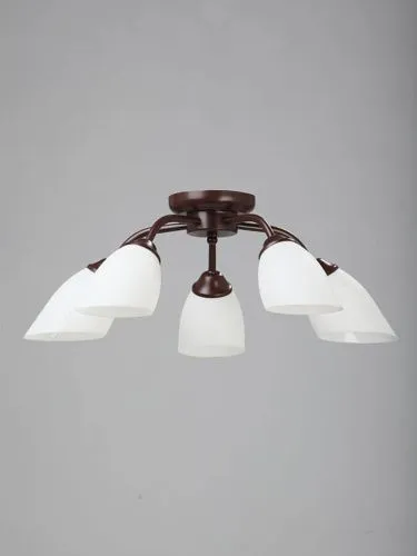 Потолочная люстра Vitaluce V3252/5PL  фото 3