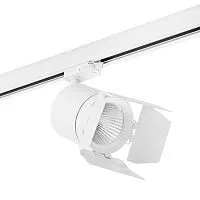 Трековый светодиодный светильник Lightstar Canno Led (301564+202996) C156496 